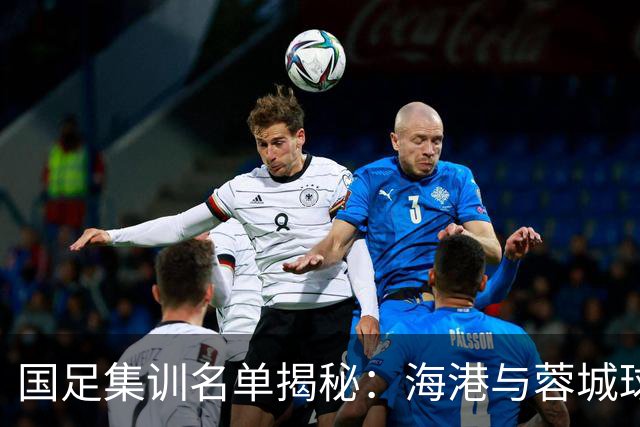 国足集训名单揭秘：海港与蓉城球员成主力军，前景如何？